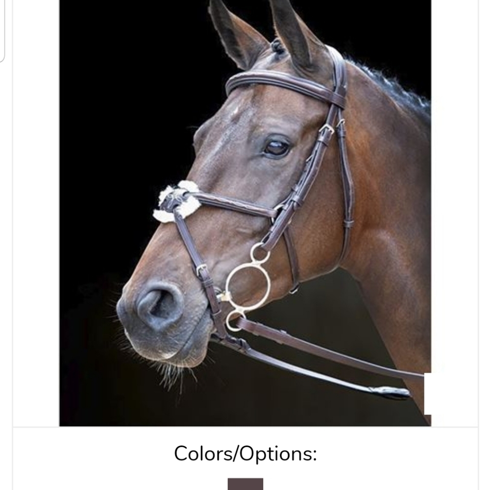 NWT Shire's Rossano Venice Bridle